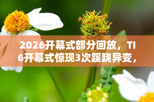 2026开幕式部分回放,TI6开幕式惊现3次蹊跷异变,玩家后背发凉,这究竟是巧合还是阴谋? 2026开幕式部分回放,TI6开幕式惊现3次蹊跷异变,玩家后背发凉,这究竟是巧合还是阴谋?