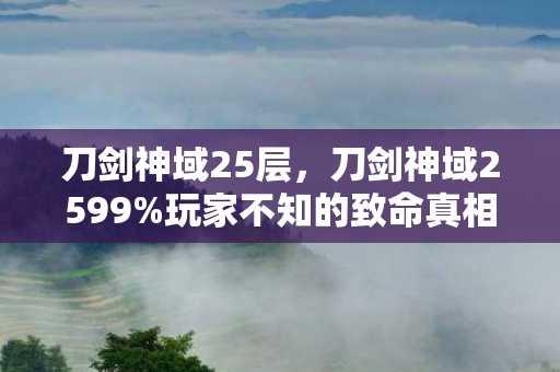 刀剑神域25层,刀剑神域2599%玩家不知的致命真相!你的VR人生还剩3秒? 刀剑神域25层,刀剑神域2599%玩家不知的致命真相!你的VR人生还剩3秒?