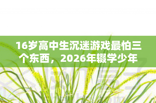 16岁高中生沉迷游戏最怕三个东西,2026年辍学少年重返校园,伏笔背后藏着鼻子一酸的虚拟情缘 16岁高中生沉迷游戏最怕三个东西,2026年辍学少年重返校园,伏笔背后藏着鼻子一酸的虚拟情缘