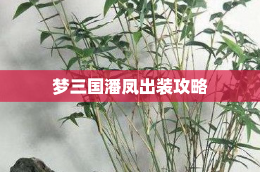 梦三国潘凤出装攻略图片