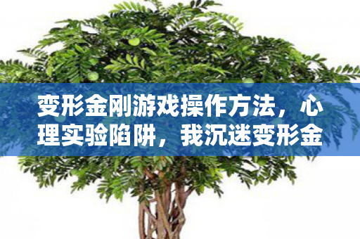 变形金刚游戏操作方法,心理实验陷阱,我沉迷变形金刚游戏三年,细思极恐的自我囚禁 变形金刚游戏操作方法,心理实验陷阱,我沉迷变形金刚游戏三年,细思极恐的自我囚禁