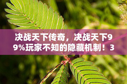 决战天下传奇，决战天下99%玩家不知的隐藏机制！3天逆袭成战神竟靠这招？