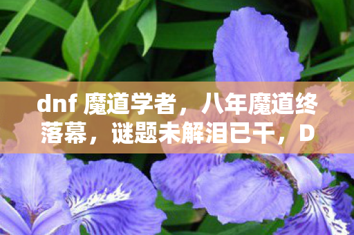 dnf 魔道学者,八年魔道终落幕,谜题未解泪已干,DNF梦碎无声 dnf 魔道学者,八年魔道终落幕,谜题未解泪已干,DNF梦碎无声