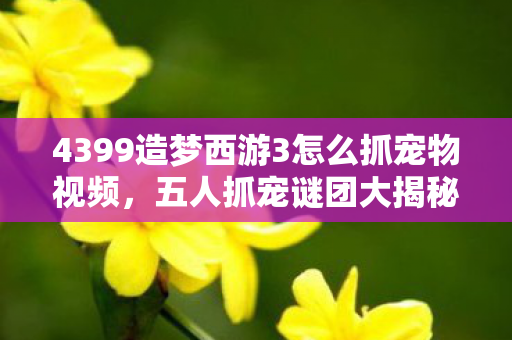 4399造梦西游3怎么抓宠物视频，五人抓宠谜团大揭秘！全网玩家集体破防实录