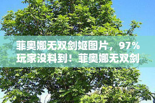菲奥娜无双剑姬图片,97%玩家没料到!菲奥娜无双剑姬在主机/PC/手游的操作断层竟差3倍? 菲奥娜无双剑姬图片,97%玩家没料到!菲奥娜无双剑姬在主机/PC/手游的操作断层竟差3倍?