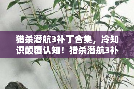 猎杀潜航3补丁合集，冷知识颠覆认知！猎杀潜航3补丁竟藏着目瞪口呆的十年谎言