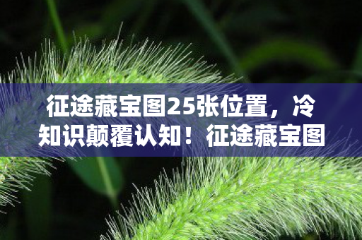 征途藏宝图25张位置,冷知识颠覆认知!征途藏宝图暗藏目瞪口呆的时间炸弹 征途藏宝图25张位置,冷知识颠覆认知!征途藏宝图暗藏目瞪口呆的时间炸弹