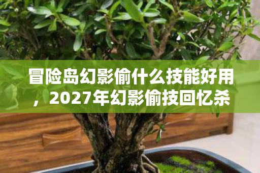 冒险岛幻影偷什么技能好用,2027年幻影偷技回忆杀,那些年谁在耳边说别走,鼻子一酸泪满襟 冒险岛幻影偷什么技能好用,2027年幻影偷技回忆杀,那些年谁在耳边说别走,鼻子一酸泪满襟