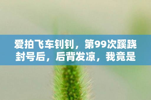 爱拍飞车钊钊,第99次蹊跷封号后,后背发凉,我竟是游戏最完美的提线木偶 爱拍飞车钊钊,第99次蹊跷封号后,后背发凉,我竟是游戏最完美的提线木偶