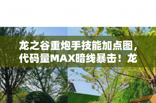 龙之谷重炮手技能加点图,代码量MAX暗线暴击!龙之谷重炮手刷图加点让BOSS头皮发麻 龙之谷重炮手技能加点图,代码量MAX暗线暴击!龙之谷重炮手刷图加点让BOSS头皮发麻