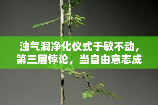 浊气洞净化仪式于敏不动,第三层悖论,当自由意志成为命运枷锁的灵魂震颤 浊气洞净化仪式于敏不动,第三层悖论,当自由意志成为命运枷锁的灵魂震颤