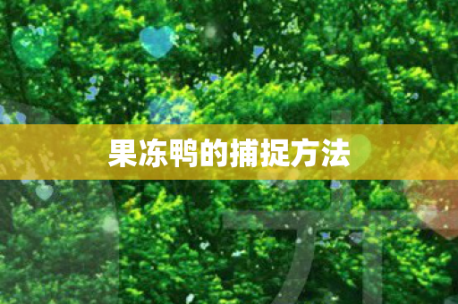 果冻鸭的捕捉方法图片