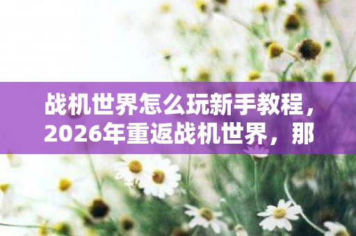 战机世界怎么玩新手教程,2026年重返战机世界,那些替我扛BOSS的人,让我鼻子一酸 战机世界怎么玩新手教程,2026年重返战机世界,那些替我扛BOSS的人,让我鼻子一酸