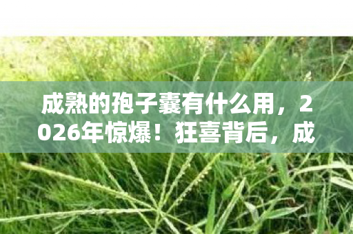 成熟的孢子囊有什么用,2026年惊爆!狂喜背后,成熟孢子竟藏着毁灭性悬念? 成熟的孢子囊有什么用,2026年惊爆!狂喜背后,成熟孢子竟藏着毁灭性悬念?