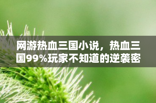 网游热血三国小说,热血三国99%玩家不知道的逆袭密码!300天肝穿服务器,最后1秒竟被…… 网游热血三国小说,热血三国99%玩家不知道的逆袭密码!300天肝穿服务器,最后1秒竟被……