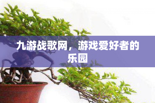 游戏爱好者的乐园图片