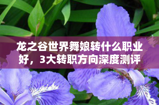 龙之谷世界舞娘转什么职业好,3大转职方向深度测评舞娘转职避坑指南+10年玩家心得 龙之谷世界舞娘转什么职业好,3大转职方向深度测评舞娘转职避坑指南+10年玩家心得