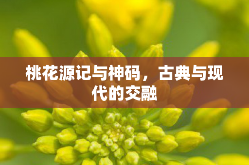 古典与现代的交融图片