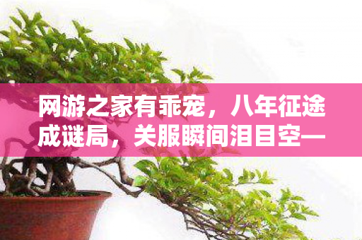 网游之家有乖宠,八年征途成谜局,关服瞬间泪目空——网游之家的落幕 网游之家有乖宠,八年征途成谜局,关服瞬间泪目空——网游之家的落幕