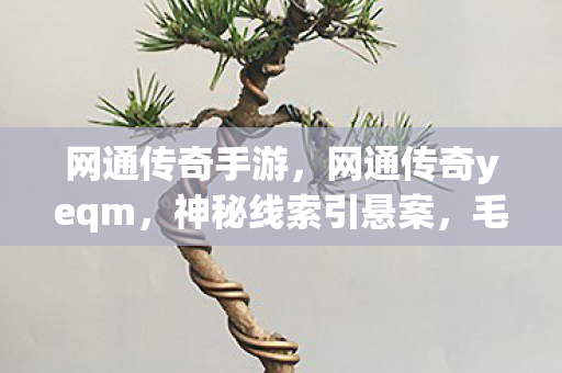 网通传奇手游，网通传奇yeqm，神秘线索引悬案，毛骨悚然十年困局之谜