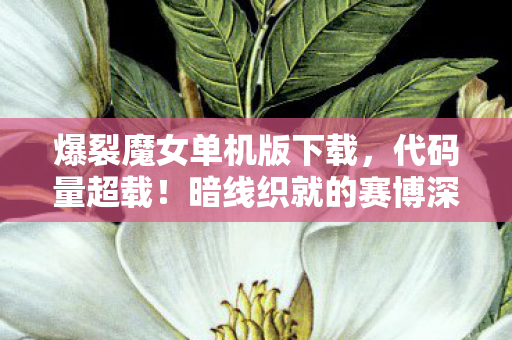 爆裂魔女单机版下载,代码量超载!暗线织就的赛博深渊,当爆裂魔女让你的神经末梢头皮发麻 爆裂魔女单机版下载,代码量超载!暗线织就的赛博深渊,当爆裂魔女让你的神经末梢头皮发麻