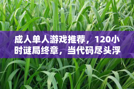 当代码尽头浮现母亲遗言图片