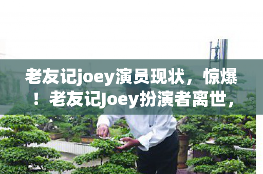 老友记joey演员现状，惊爆！老友记Joey扮演者离世，亿万粉丝泪崩心碎！