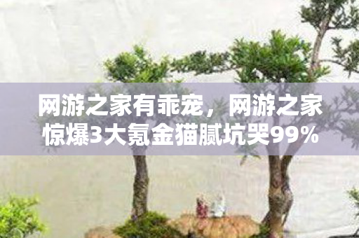 网游之家有乖宠,网游之家惊爆3大氪金猫腻坑哭99%玩家,这波操作太上头! 网游之家有乖宠,网游之家惊爆3大氪金猫腻坑哭99%玩家,这波操作太上头!