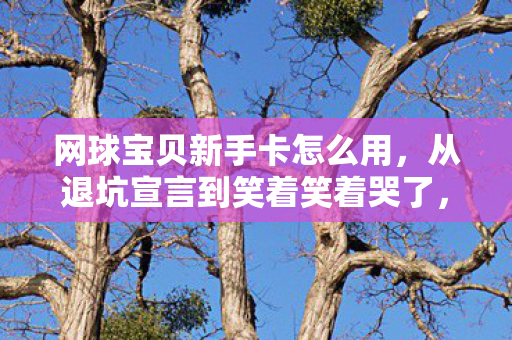 从退坑宣言到笑着笑着哭了图片