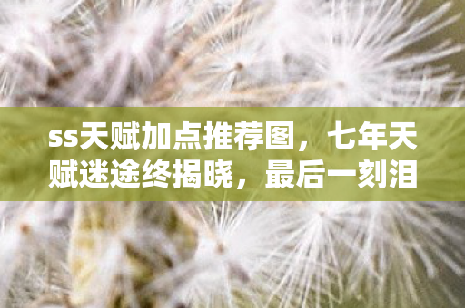 ss天赋加点推荐图图片