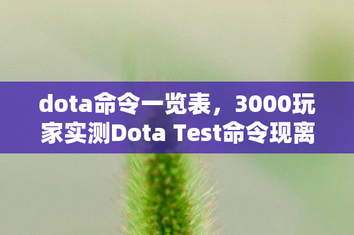 3000玩家实测Dota Test命令现离谱疑点图片