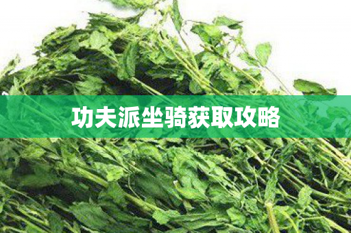 功夫派坐骑获取攻略图片