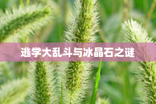 逃学大乱斗与冰晶石之谜图片