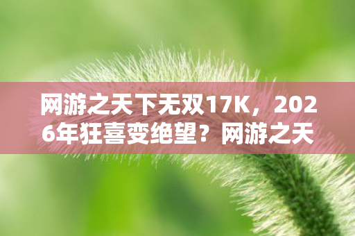 网游之天下无双17K,2026年狂喜变绝望?网游之天下无双惊现终极隐藏危机! 网游之天下无双17K,2026年狂喜变绝望?网游之天下无双惊现终极隐藏危机!