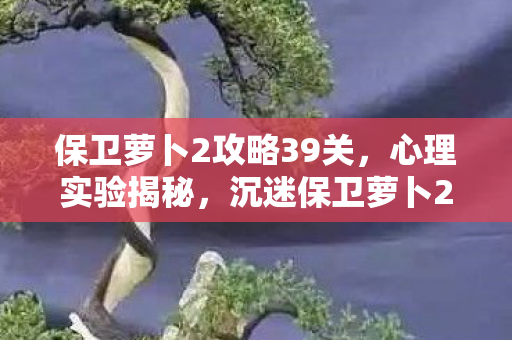 保卫萝卜2攻略39关,心理实验揭秘,沉迷保卫萝卜2的细思极恐自我麻醉之旅 保卫萝卜2攻略39关,心理实验揭秘,沉迷保卫萝卜2的细思极恐自我麻醉之旅