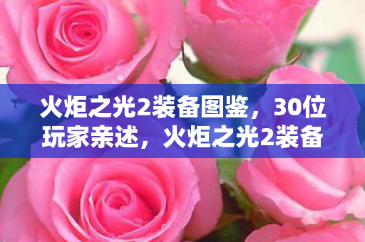 火炬之光2装备图鉴,30位玩家亲述,火炬之光2装备爆率疑云,大神都绷不住的真相! 火炬之光2装备图鉴,30位玩家亲述,火炬之光2装备爆率疑云,大神都绷不住的真相!