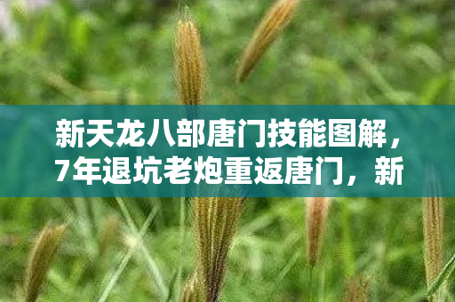 新天龙八部唐门技能图解,7年退坑老炮重返唐门,新版本竟让我瞳孔地震! 新天龙八部唐门技能图解,7年退坑老炮重返唐门,新版本竟让我瞳孔地震!
