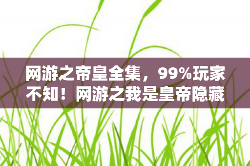 网游之帝皇全集，99%玩家不知！网游之我是皇帝隐藏机制竟让平民秒变帝王？