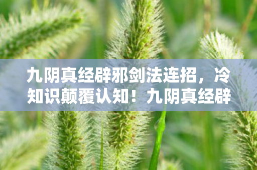 九阴真经辟邪剑法连招，冷知识颠覆认知！九阴真经辟邪剑法真相让我目瞪口呆