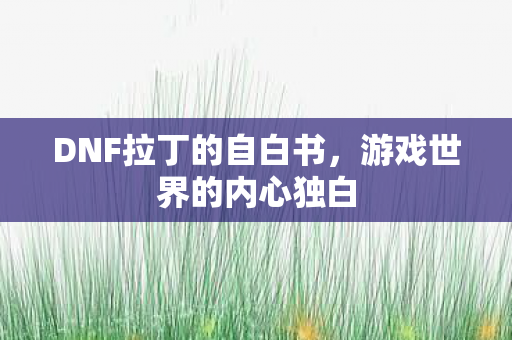 DNF拉丁的自白书图片