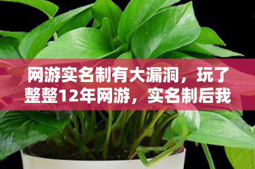 网游实名制有大漏洞，玩了整整12年网游，实名制后我该选继续还是告别？