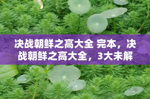 决战朝鲜之高大全 完本，决战朝鲜之高大全，3大未解之谜，揭开制作组隐藏的惊天秘密！