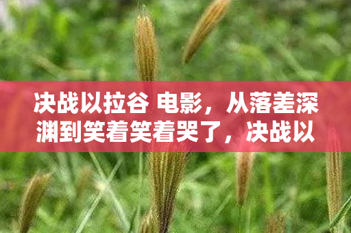 决战以拉谷 电影，从落差深渊到笑着笑着哭了，决战以拉谷的真相，我终究还是败了