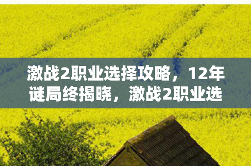 激战2职业选择攻略，12年谜局终揭晓，激战2职业选择背后的泪目真相