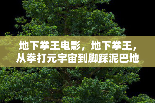 地下拳王电影，地下拳王，从拳打元宇宙到脚踩泥巴地的落差真相，笑着笑着就哭了