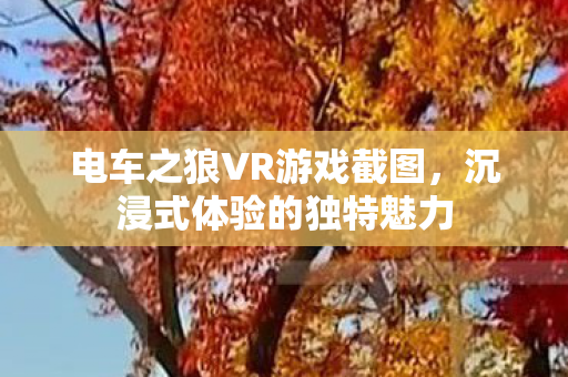 电车之狼VR游戏截图图片