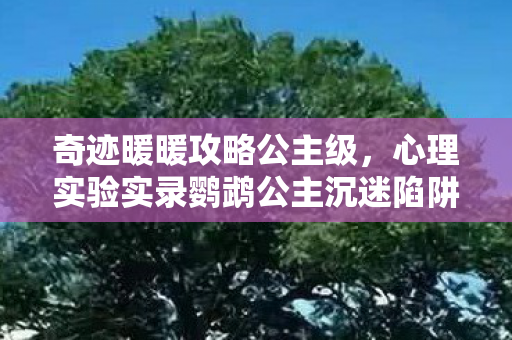奇迹暖暖攻略公主级,心理实验实录鹦鹉公主沉迷陷阱,多巴胺操控下的细思极恐循环 奇迹暖暖攻略公主级,心理实验实录鹦鹉公主沉迷陷阱,多巴胺操控下的细思极恐循环