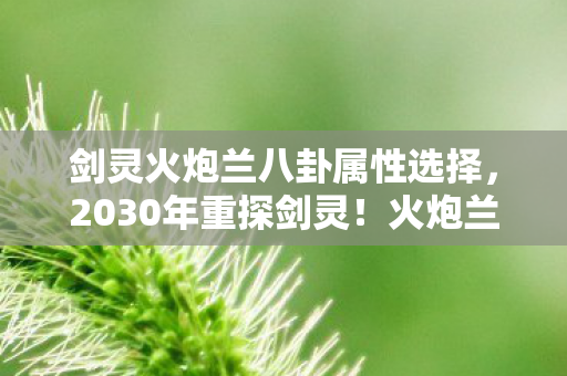 剑灵火炮兰八卦属性选择，2030年重探剑灵！火炮兰八卦属性竟藏惊天秘密，颠覆认知！