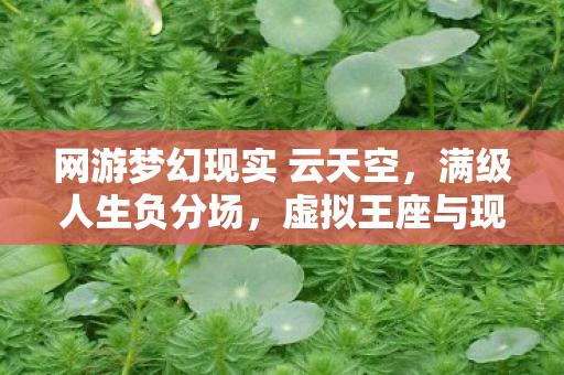 网游梦幻现实 云天空,满级人生负分场,虚拟王座与现实深渊的灵魂震颤悖论 网游梦幻现实 云天空,满级人生负分场,虚拟王座与现实深渊的灵魂震颤悖论