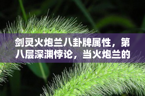 剑灵火炮兰八卦牌属性，第八层深渊悖论，当火炮兰的炮火照亮存在主义的自由囚笼